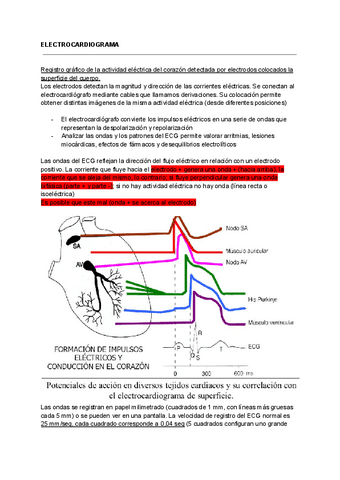electrocardiograma-y-otras-tecnicas-afines-monitorizacion-hemodinamica..pdf