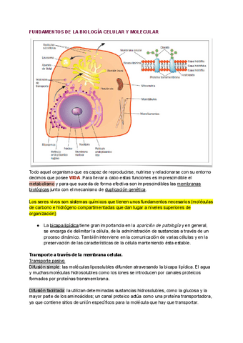 causas-de-lesion-tisular.pdf