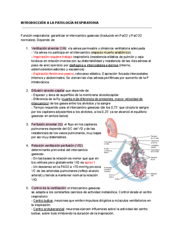introduccion-a-la-patologia.pdf