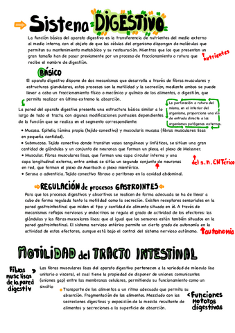 sistema-digestivo.pdf