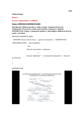 Tema1Sedi.pdf