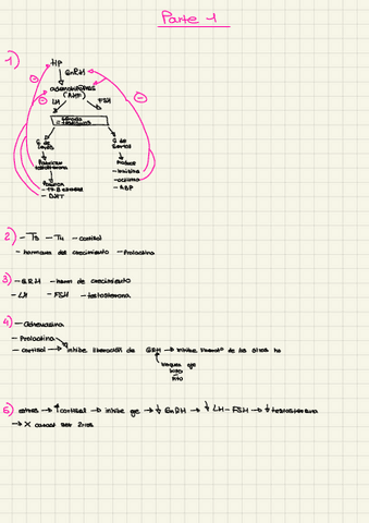 Practica-fisiologia-endocrino.pdf