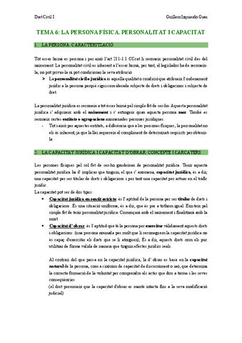 Tema-6-civil-COMPLETO.pdf