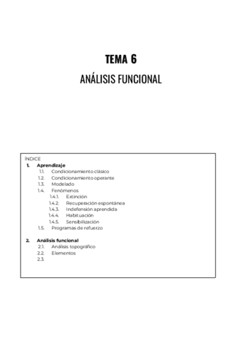 TEMA-6.pdf