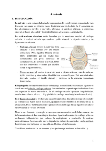 4.-Artrosis.pdf