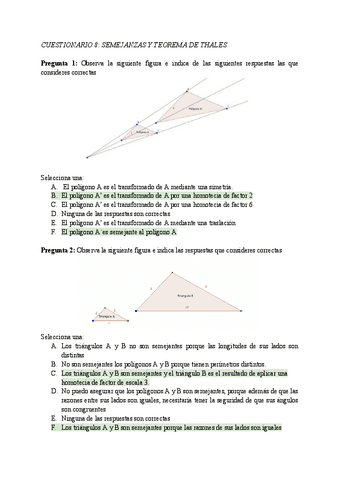 Preguntas-tema-semejanzas.pdf