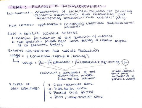 resumenes-temas-1-4-microeconometrics.pdf