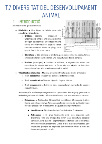 T.7-DIVERSITAT-DEL-DESENVOLUPAMENT-ANIMAL.pdf