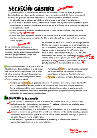 sistema-digestivo.pdf