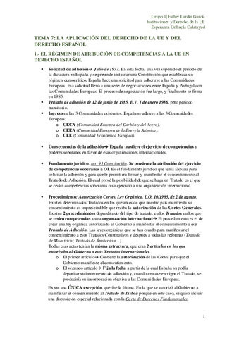 IDUE.-TEMA-7-TERMINADO.pdf