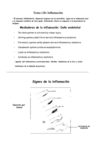 Tema 12b. Inflamación_completo.pdf