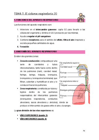 T.7-EYCHII..pdf