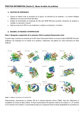 Práctica 2 (Inf).pdf