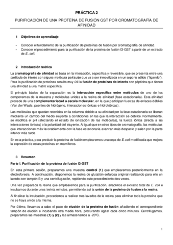 Práctica 3 (Lab).pdf