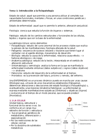 fisipato-apuntes-T-1-6.pdf