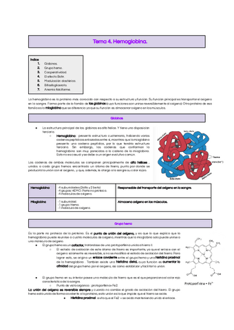 Tema-4-Hemoglobina..pdf