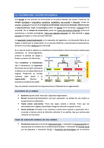 TEMA-13.-CICATRIZACION-2024.pdf