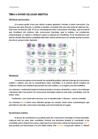 Tema-4-Divisio-meiotica.pdf