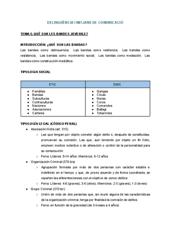 DELINQUENCIA-I-MITJANS-DE-COMUNICACIO-2.pdf