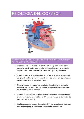 3.-El-corazon.pdf
