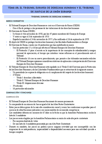 TEMA-09.-TEDH.pdf