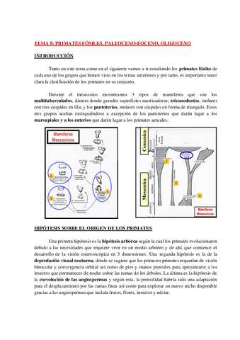 AP-ANTROPOLOGIA-TEMA-8-WH.pdf