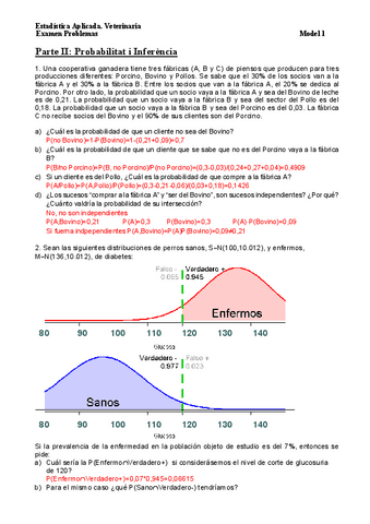 P-II-ProblemesSol.pdf