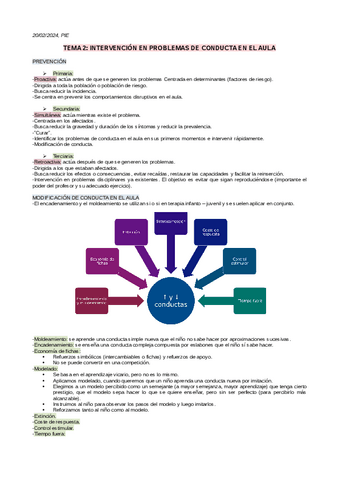 TEMA-2-PIE.pdf