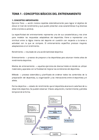 APUNTES-ENTRENAMIENTO.pdf