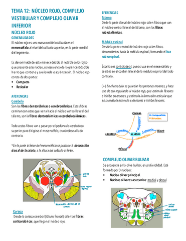 Tema-12.-Nucleos-rojo-complejo-vestibular-y-oliva-bulbar.pdf