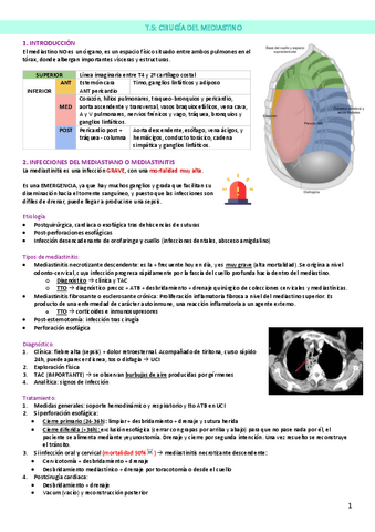 T.5-Cirugia-del-mediastino.pdf