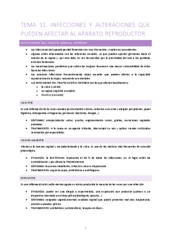 Tema-11-ADULTO-II.pdf