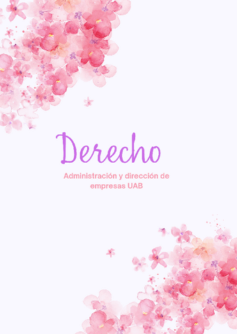 DERECHO-APUNTES-COMPLETOS-EXAMEN-FINAL.pdf