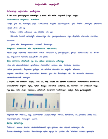 Azterketa-Eredua.pdf