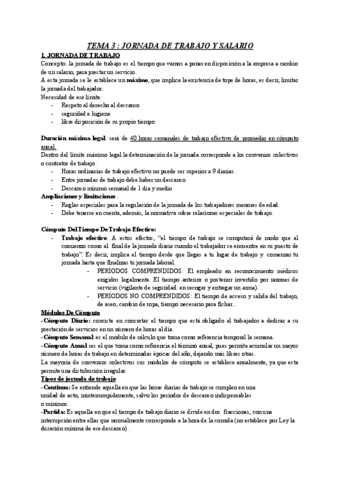 TEMA-3--JORNADA-DE-TRABAJO-Y-SALARIO.pdf