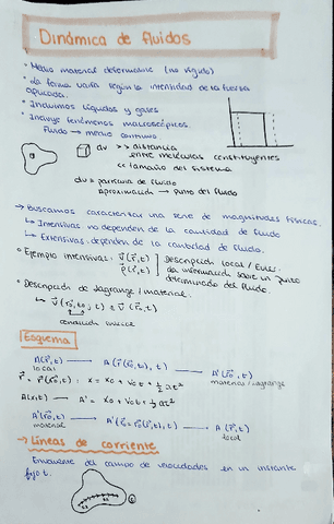 Tema-5-Fluidos-teoria--ejs.pdf