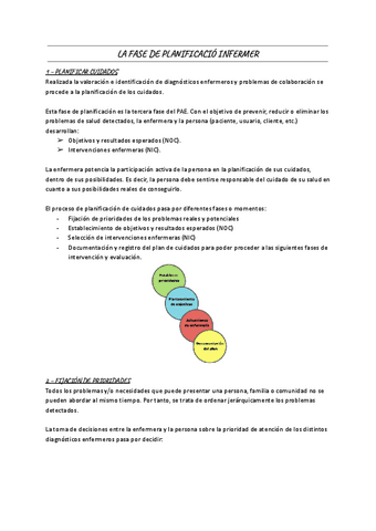 LA-FASE-DE-PLANIFICACIO-INFERMER-1.pdf