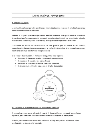 LA-EVALUACION-DEL-PLAN-DE-CURAS-1.pdf