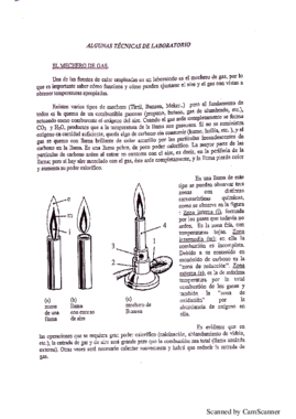 PRÁCTICAS QUÍMICA.pdf