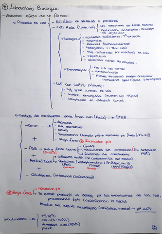 ESQUEMAS-LABORATORIO-BIOLOGIA.pdf