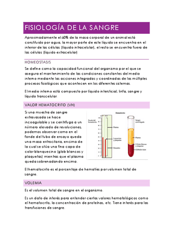 5.-Fisiologia-de-la-sangre.pdf