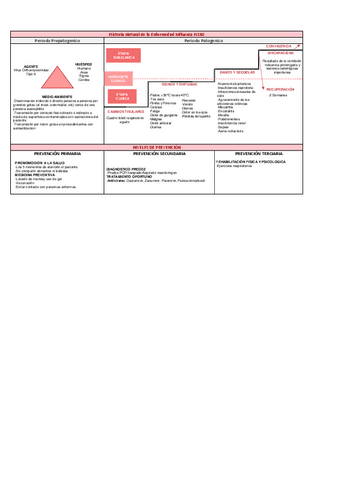 ESQUEMA-HISTORIA-NATURAL-INFLUENZA.pdf