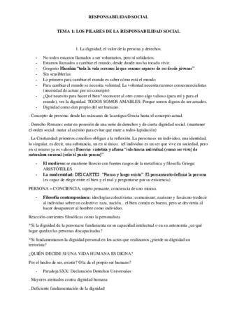 TEMA-1-RS.pdf