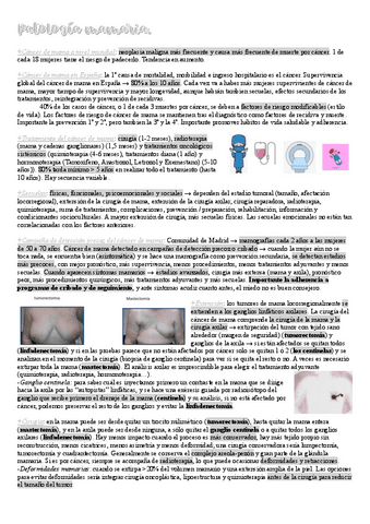 19.-Patologia-mamaria.pdf