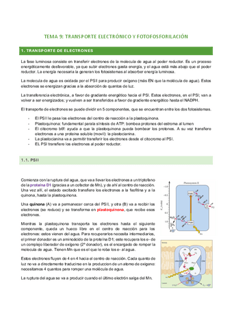 tema-9.pdf