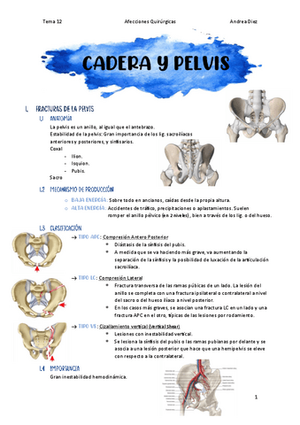 Tema-12-Cadera-y-Pelvis.pdf