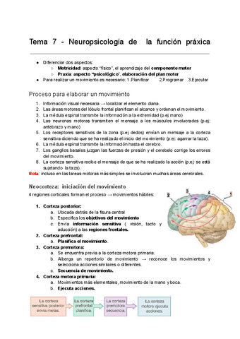 Tema-7-Neuropsicologia-de-la-funcion-praxica.pdf