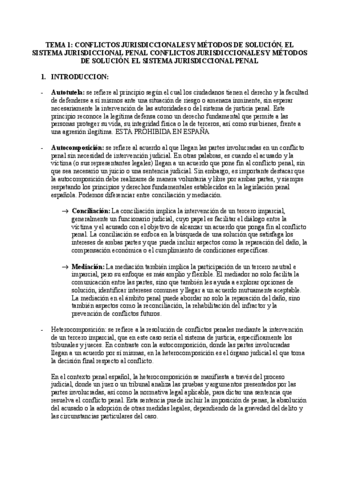 TEMA-1-CONFLICTOS-JURISDICCIONALES-Y-METODOS-DE-SOLUCION.-EL-SISTEMA-JURISDICCIONAL-PENAL-CONFLICTOS-JURISDICCIONALES-Y-METODOS-DE-SOLUCION.-EL-SISTEMA-JURISDICCIONAL-PENAL.pdf