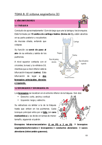 T.8-EYCHII.pdf