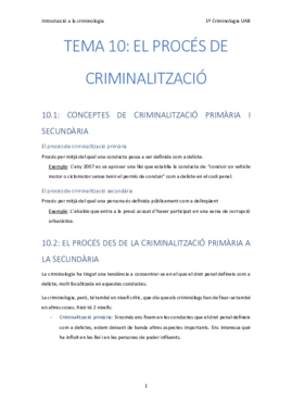 10. El proces de criminalitzacio.pdf